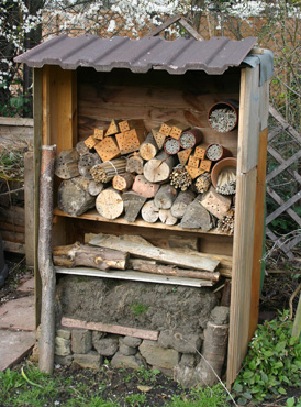 Larger bee house